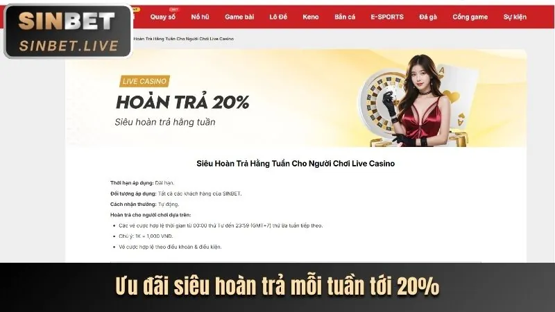 Phân tích ưu đãi mới nhất 66b Casino